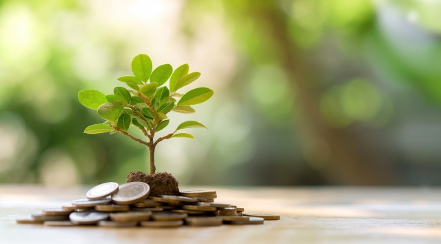 small plant on a table surrounded by a stack of coins