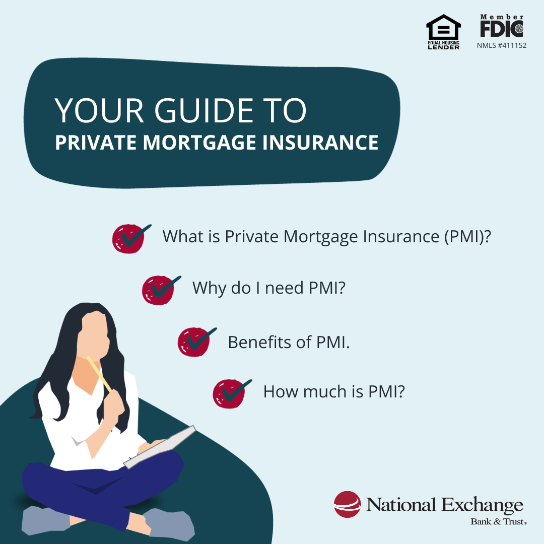 PMI questions infographic