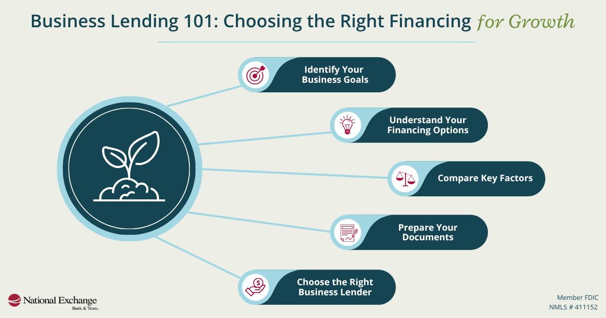 Infographic about Choosing the Right Financing for Growth